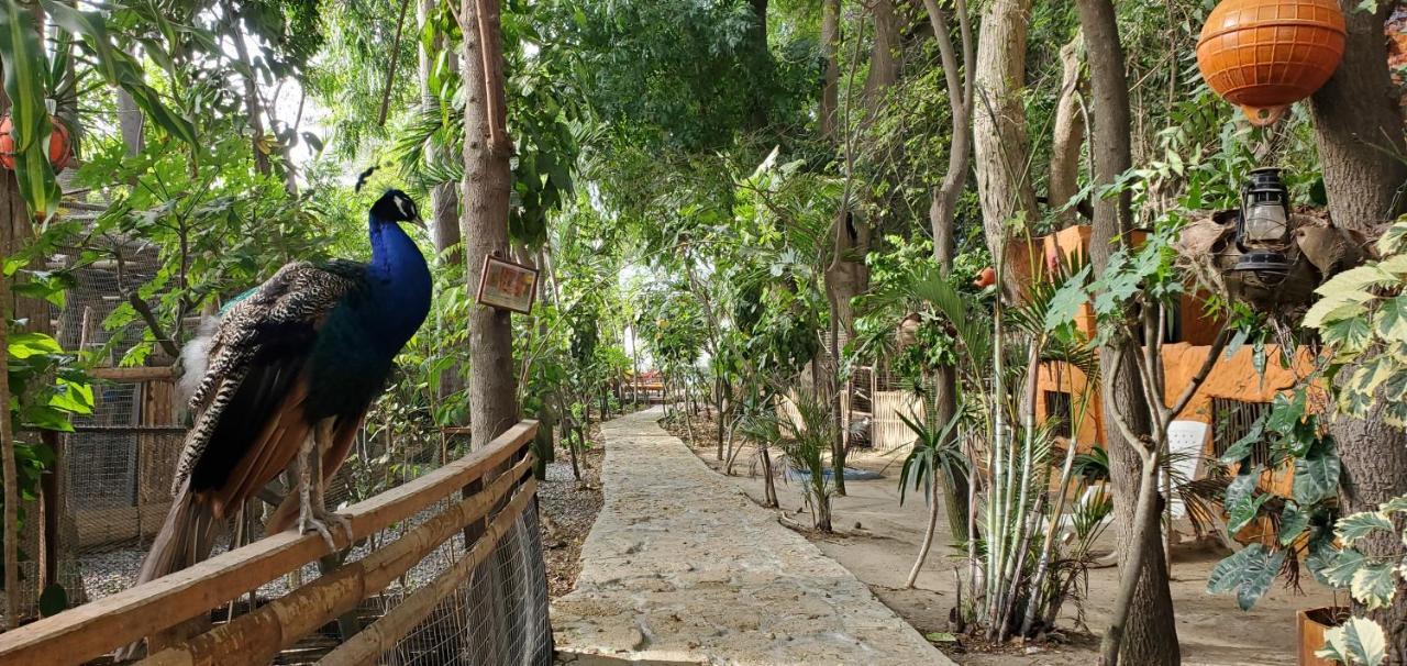 Hosteria Ecologica El Faro ซาลีนาส ภายนอก รูปภาพ