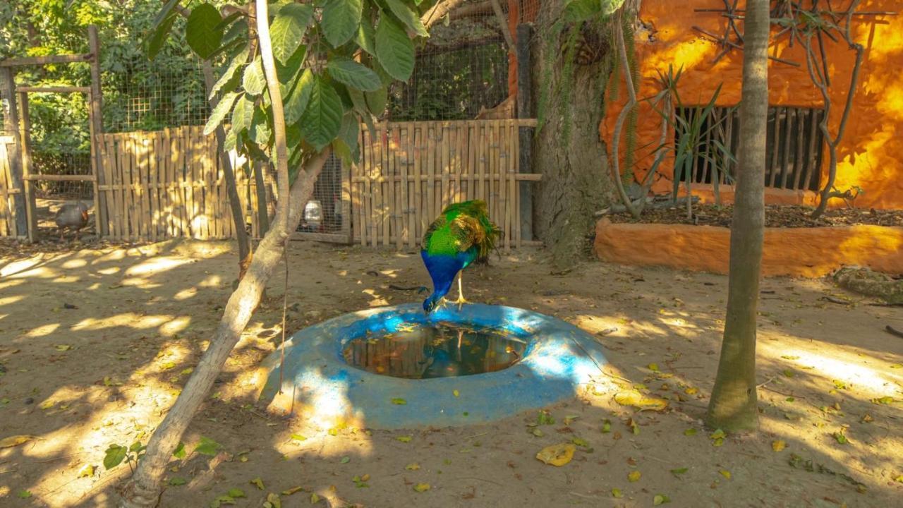 Hosteria Ecologica El Faro ซาลีนาส ภายนอก รูปภาพ