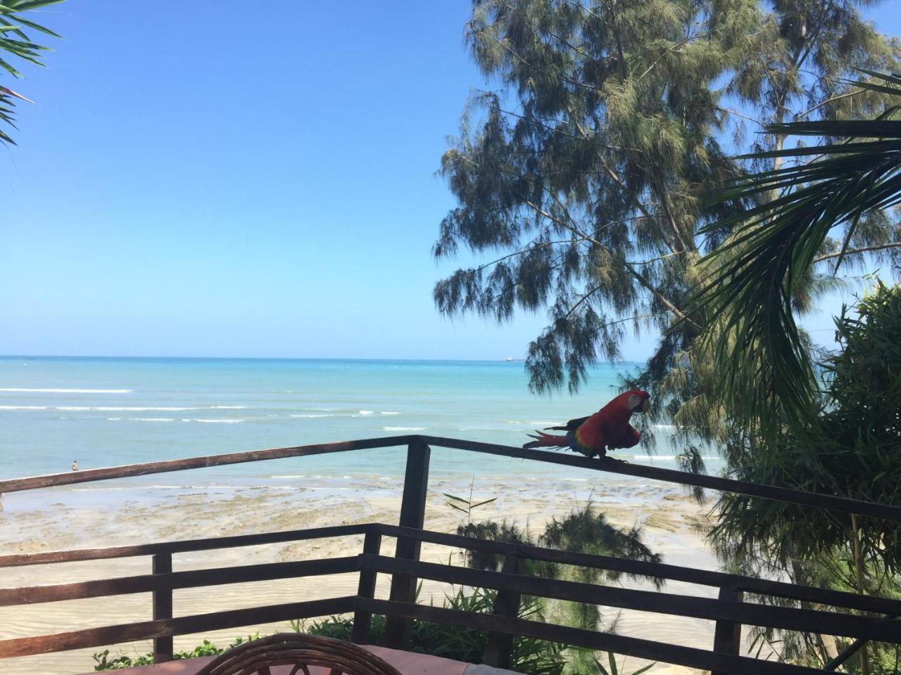Hosteria Ecologica El Faro ซาลีนาส ภายนอก รูปภาพ