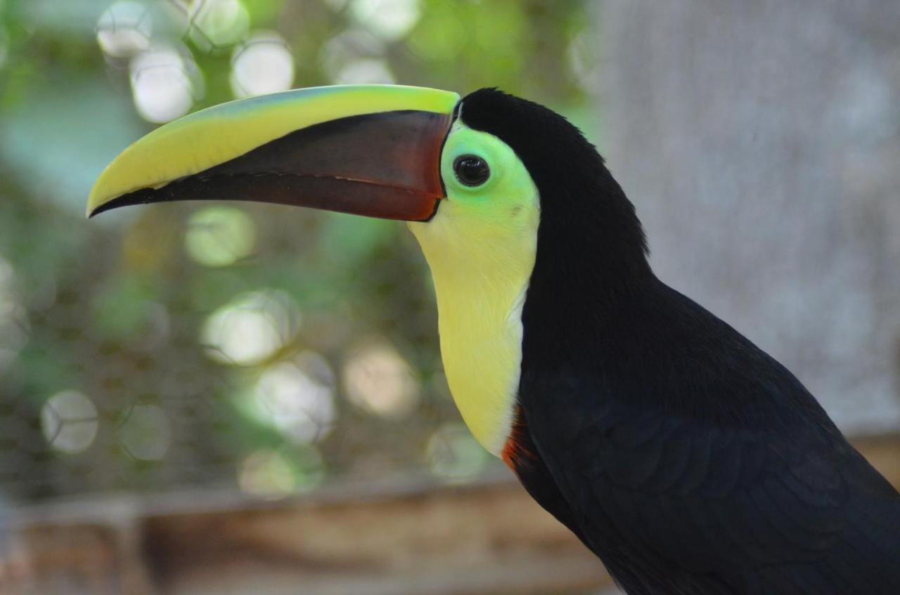 Hosteria Ecologica El Faro ซาลีนาส ภายนอก รูปภาพ